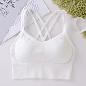 Elevate Your Workout The Perfect Sports Bra