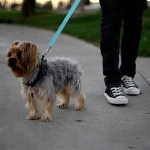 1pc Pet Car Belt, Dog Cat Car Leash, Retractable Backseat Pet Tether, Keep Your Dogr! Dog Outing Dog Stuff Dog Car Seat Car