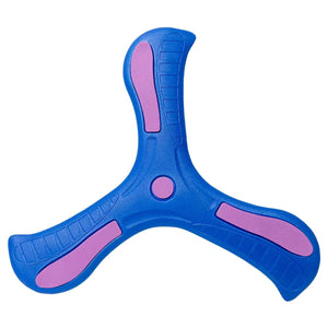 Outdoor Flying Disc Fun for Kids