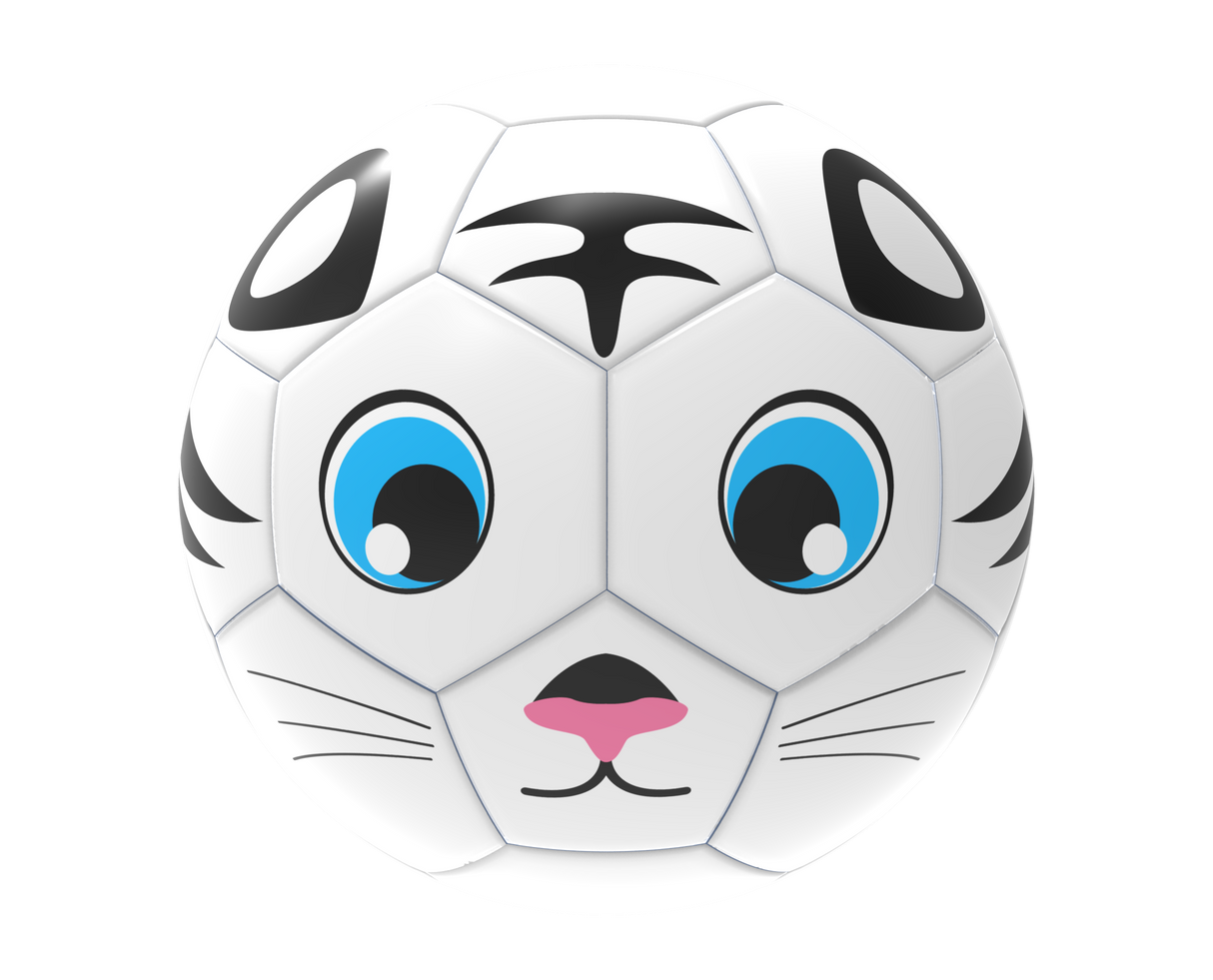 Fun Recreational soccer ball