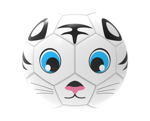 Fun Recreational soccer ball