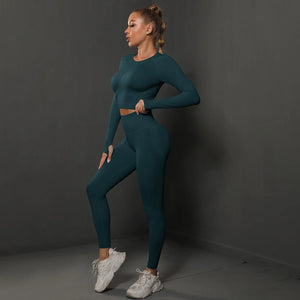 Seamless Yoga Set High Waisted Leggings Crop Top