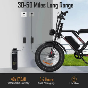 Adult Electric Bike: 1000/3000W Motor + 48V Removable Battery