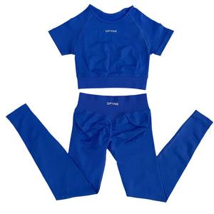 Fitness Apparel  2 Piece Yoga Outfit