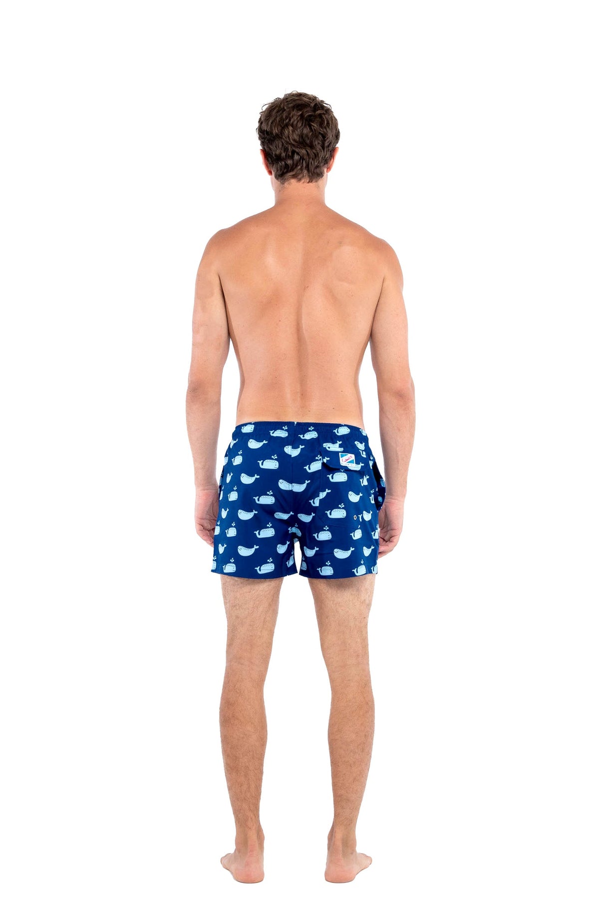 Blue Whale by Bermies