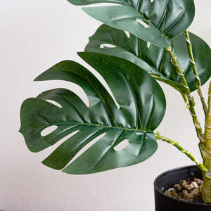 Simulation Monstera with Fairy light