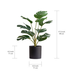 Simulation Monstera with Fairy light