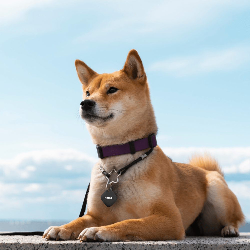 Sway FINDR Tracker Tab with Silcone Cover and Hook/Holder for Apple Devices Black by Sway