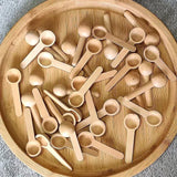 10Pcs Mini Wooden Measuring Spoons for Spices, Coffee, Honey, Salt
