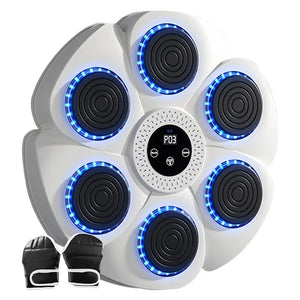Improve Your Reflexes  Music Boxing Target with Gloves