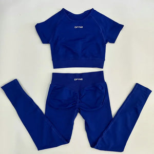 Fitness Apparel  2 Piece Yoga Outfit