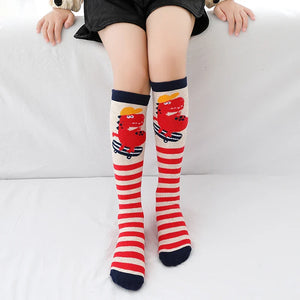 Colorful Embroidered Knee High Socks for Girls