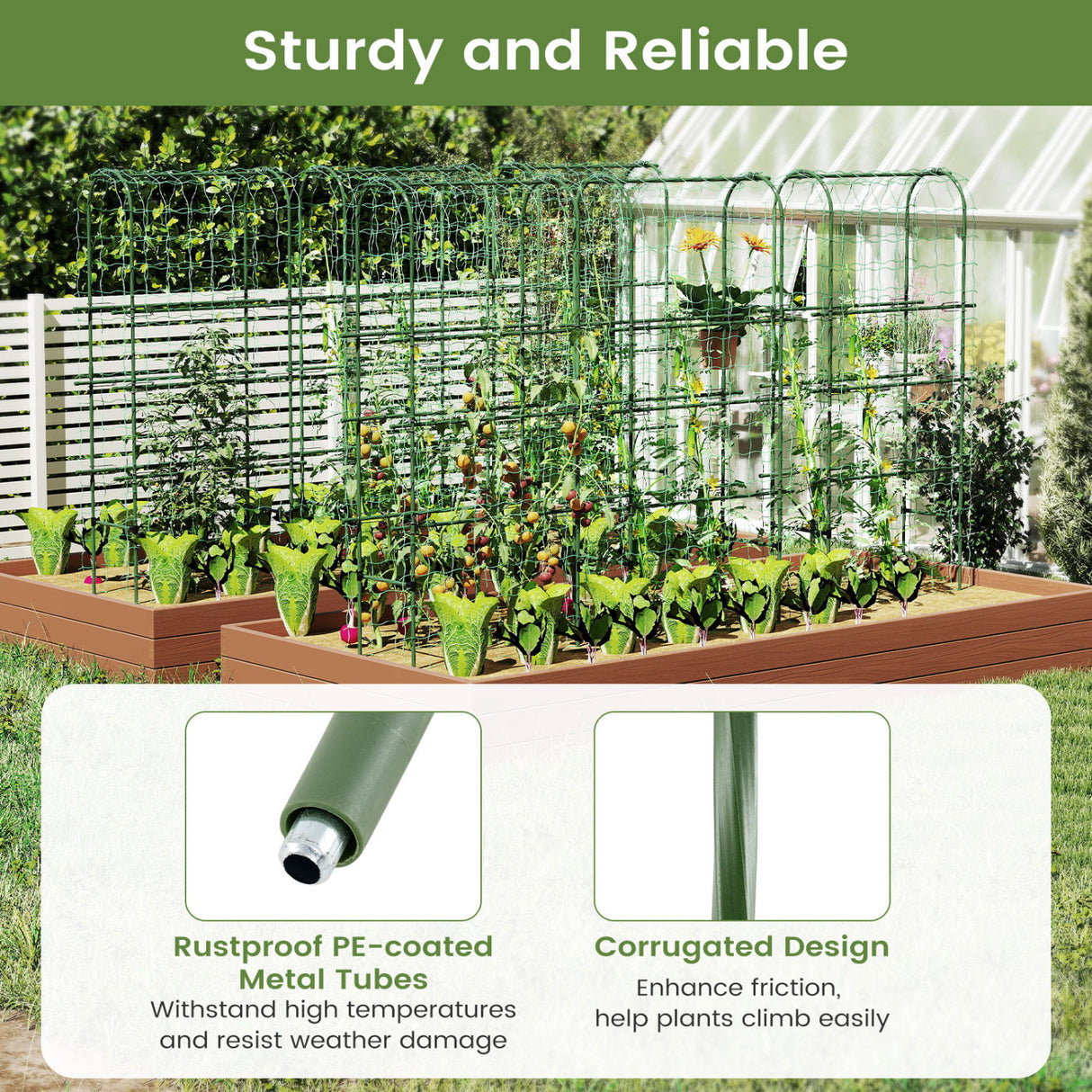 Self-watering Raised Garden Bed Elevated Planter with Climbing Trellis-Black