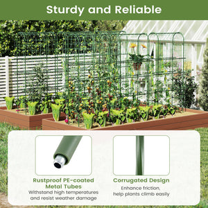 Self-watering Raised Garden Bed Elevated Planter with Climbing Trellis-Black