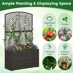Set of 2 49 Inch Raised Garden Bed with Trellis and Wicker Planter Box-Brown