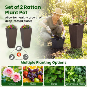 Set of 2 Rattan Tall Plant Pots with Detachable Plastic Liners-Brown