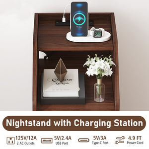 Set of 2 Side End Tables with Charging Station Sofa Couch Tables with Shelf Drawers-Walnut