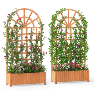 Set of 2 Wooden Raised Garden Bed with Trellis 71" Outdoor Planter Box Privacy Screen-Brown