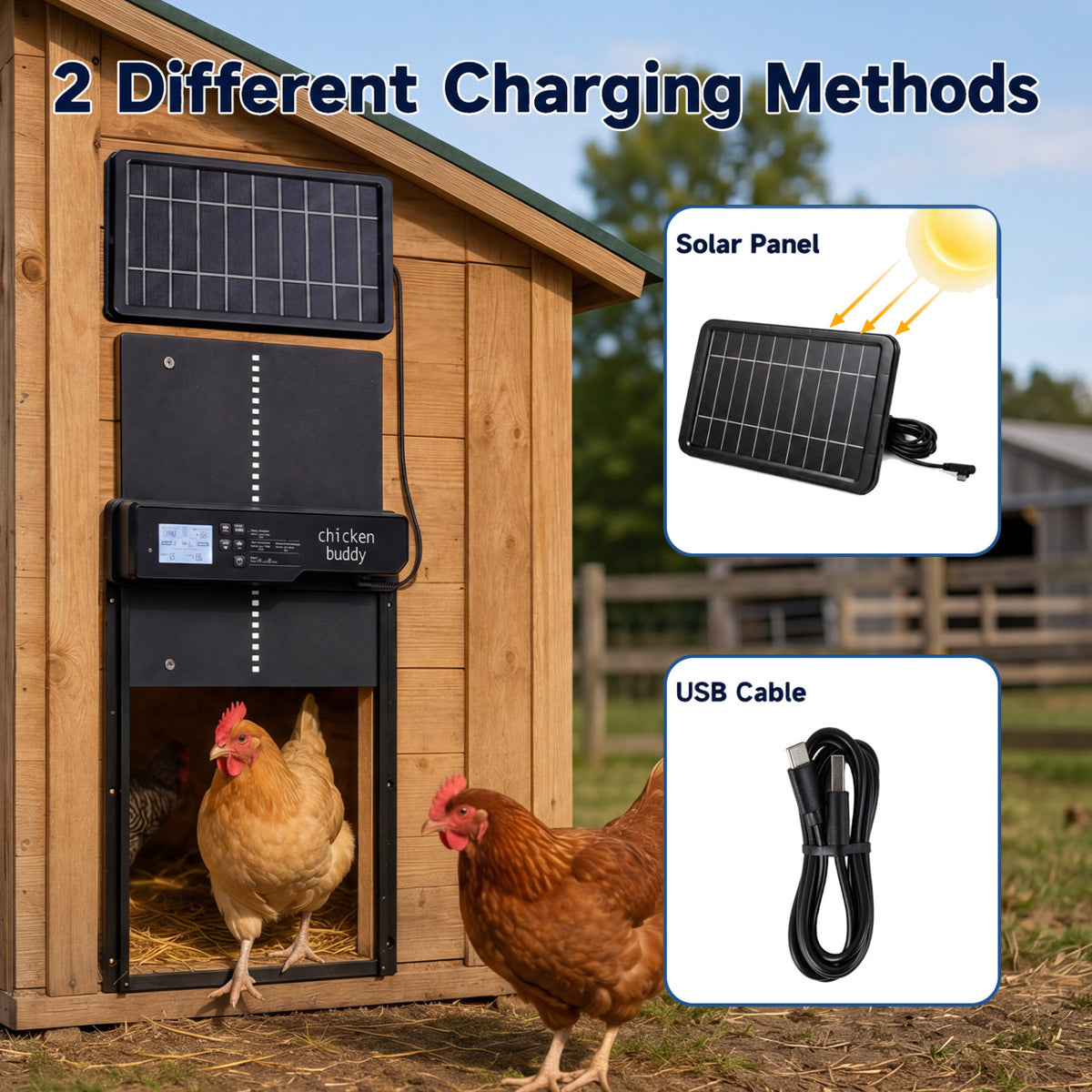 Solar Powered Automatic Chicken Coop Door