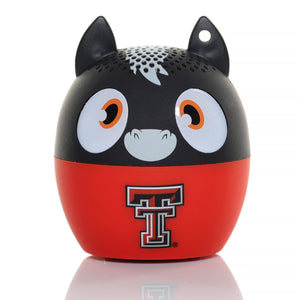 Texas Tech Red Raiders