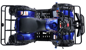 TrailMaster B125 125cc Utility ATV, Automatic with Reverse, 8-inch Wheels, Ages 9-12