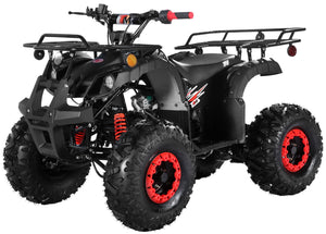 TrailMaster B125 125cc Utility ATV, Automatic with Reverse, 8-inch Wheels, Ages 9-12
