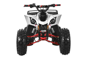 TrailMaster F125 125cc Sport ATV, Automatic with Reverse, 8-inch Wheels, Ages 9-12