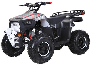Lander-XD 125UF 125cc Utility ATV, Automatic with Reverse, 8-inch Wheels, Ages 9-12