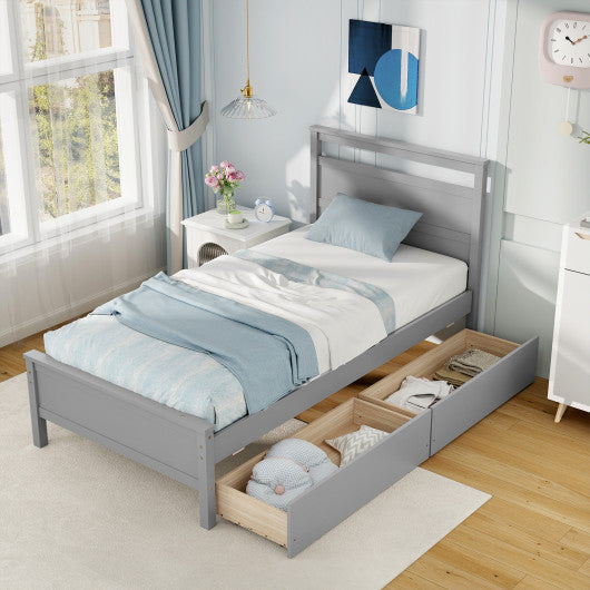 Twin Size Wooden Bed Frame with 2 Drawers for Teens and Adults-Gray