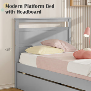 Twin Size Wooden Bed Frame with 2 Drawers for Teens and Adults-Gray