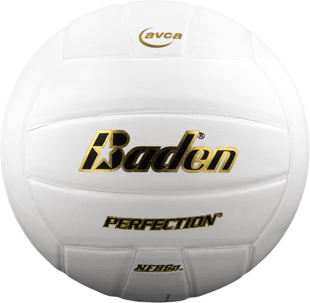 Perfection Leather Volleyball NFHS Stamped