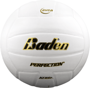 Perfection Leather Volleyball