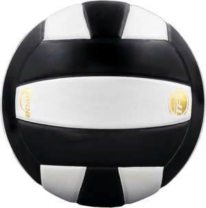 Perfection Leather Volleyball NON NFHS
