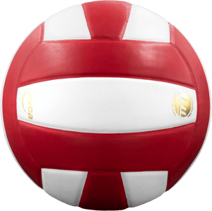 Perfection Leather Volleyball NON NFHS