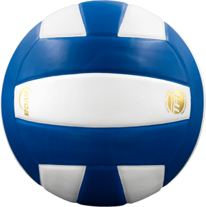 Perfection Leather Volleyball