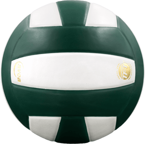 Perfection Leather Volleyball NFHS Stamped