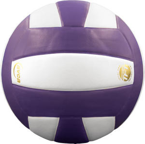 Perfection Leather Volleyball NON NFHS