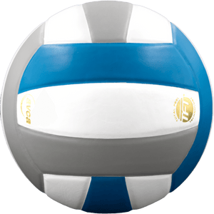 Perfection Leather Volleyball NON NFHS