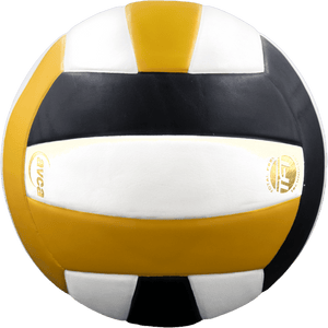 Perfection Leather Volleyball NON NFHS