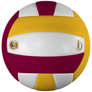 Perfection Leather Volleyball NFHS Stamped