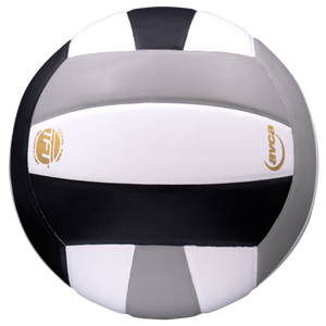 Perfection Leather Volleyball NFHS Stamped