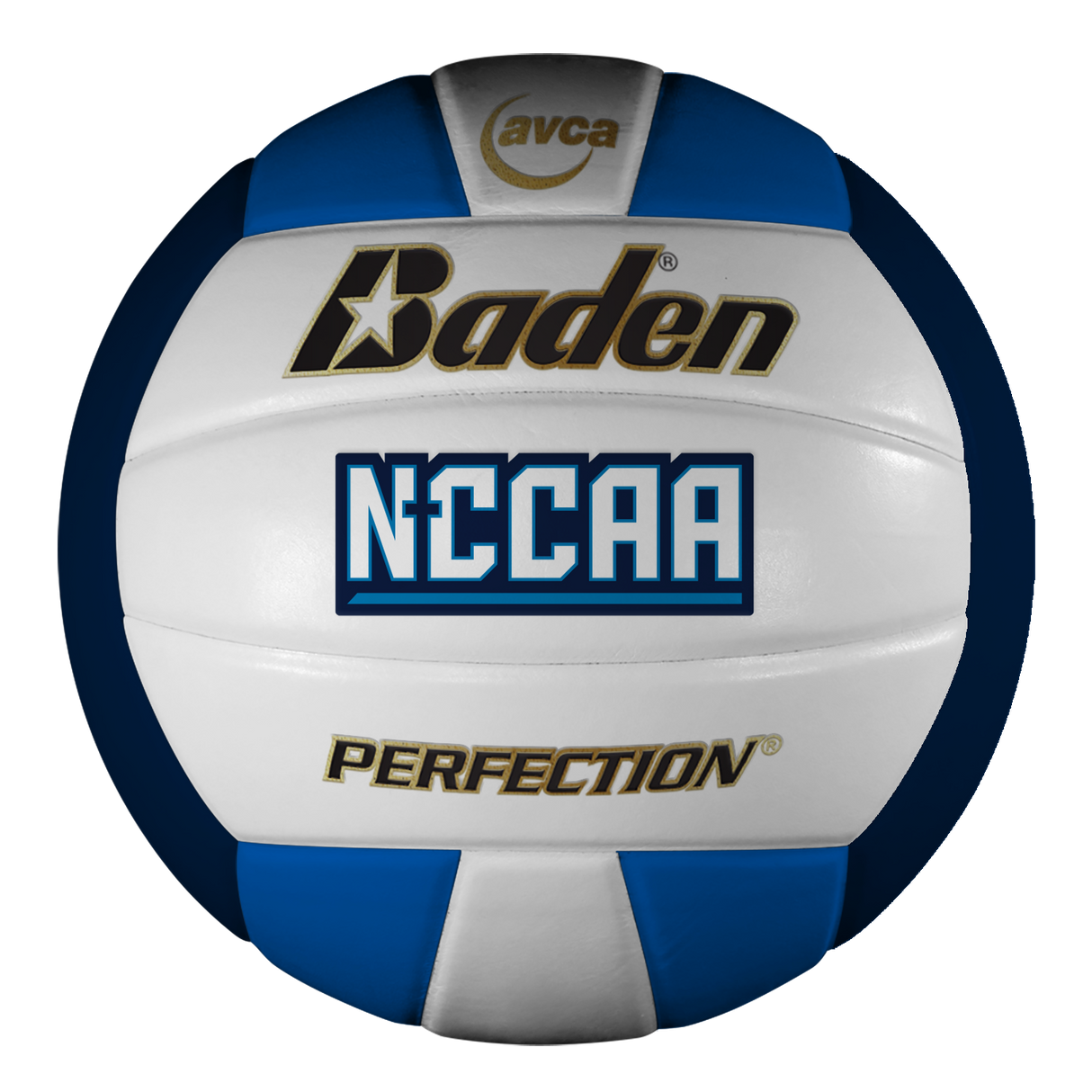 NCCAA Perfection Leather Volleyball