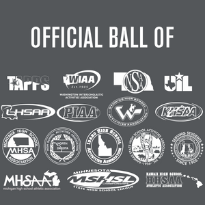 Perfection Leather Volleyball NFHS Stamped