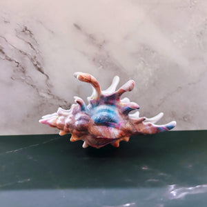 Velvet Claws Realistic Conch Shell Hair Claw in Mermaid Colors