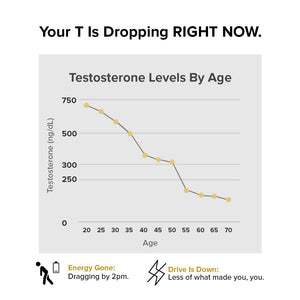 Nature's Lab Gold Vital Testosterone - 90 Capsules