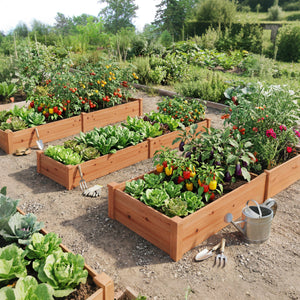 Wooden Vegetable Raised Garden Bed for Backyard Balcony Patio-Orange