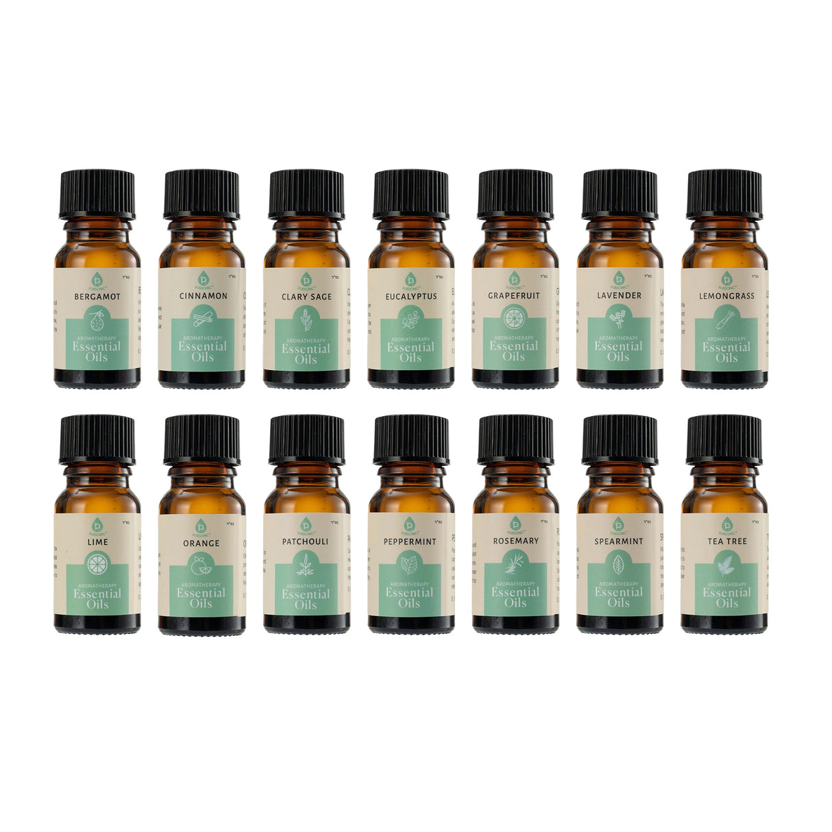 Seasonal Scents Christmas Essential Oils Collection by Pursonic
