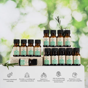 Seasonal Scents Christmas Essential Oils Collection by Pursonic