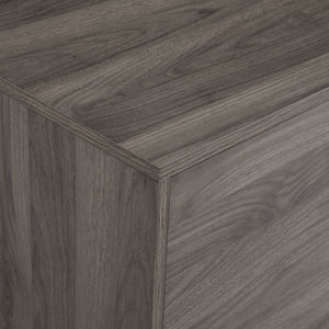 Mid-Century Modern 2 Door TV Stand With Glass Shelf by Couch.com