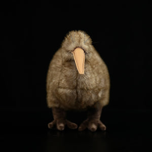 Kiwi Plush Toy New Zealand Juwei Doll